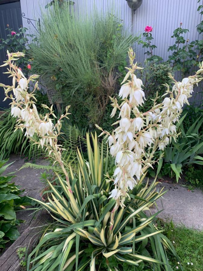 Livarot-Pays-d'Auge Dom'S Garden B&B 외부 사진